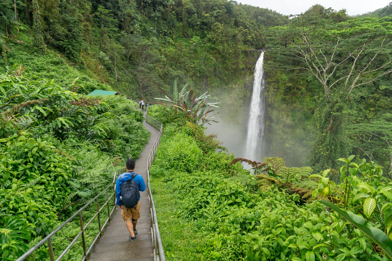 Akaka Falls State Park