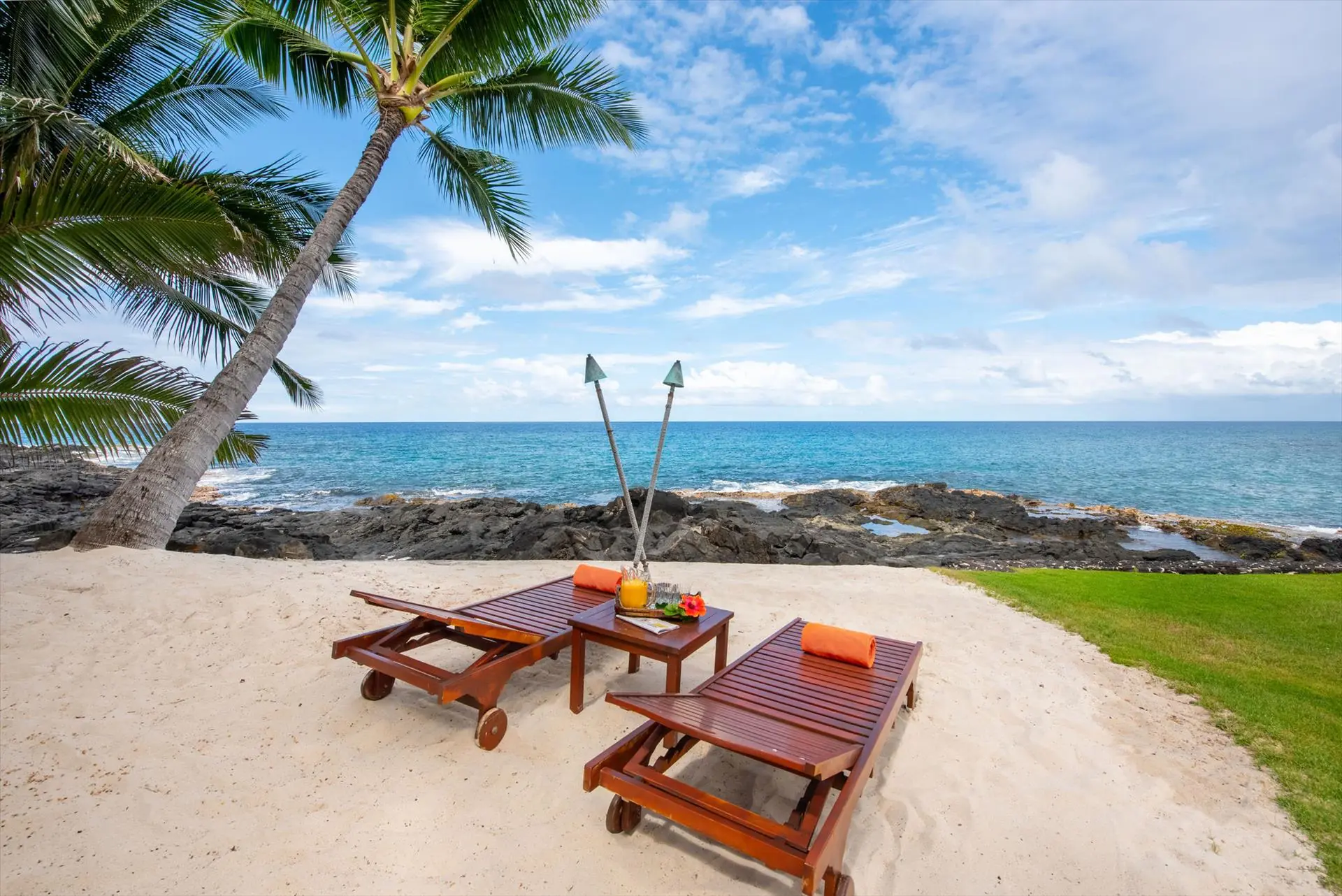 Loungers on the oceanfront lawn